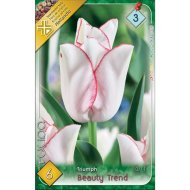 Virághagyma tulipán Beauty Trend fehér 6db/csomag