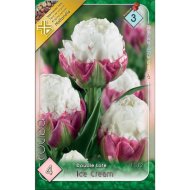 Virághagyma tulipán Ice Cream rózsaszín-fehér, 4 db/csomag