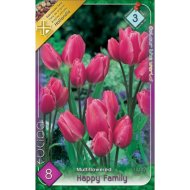 Virághagyma tulipán Happy Family 8db/csomag
