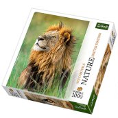 Nature Limited Edition: Nemes vadak puzzle - Oroszlán, 1000 db
