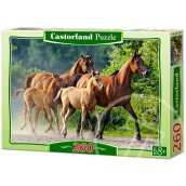 Arab telivérek - 260 darabos puzzle