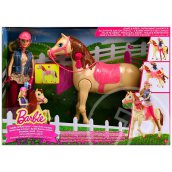 Barbie: Barbie baba csodalóval