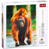Nature Limited Edition: Anyai szeretet puzzle - Orangután, 1000 db