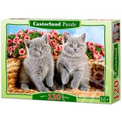 Szürke cicák - 120 darabos puzzle