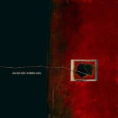 Hesitation Marks (Limited Deluxe Edition) CD