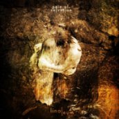 Linoleum CD