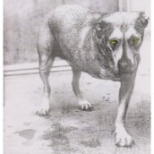 Alice In Chains CD