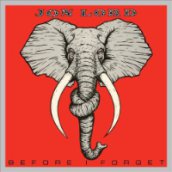 Before I Forget CD