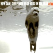 How Can I Sleep With Your Voice In My Head CD