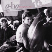 Hunting High And Low CD