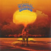 Earth Blues CD
