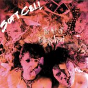 The Art Of Falling Apart CD
