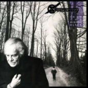 Into The Mirror Black LP